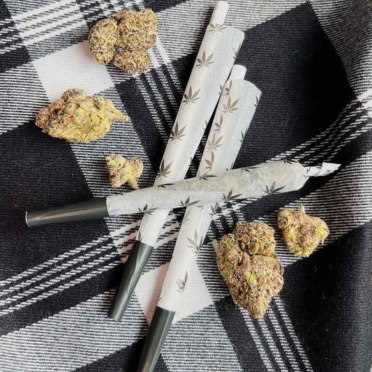 King Size Cones (Black Leaf)